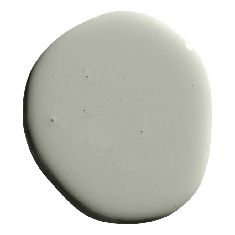 ROAD TO TODOS SANTOS