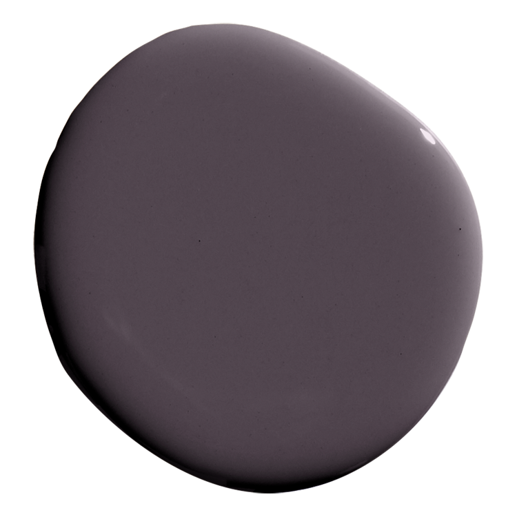 ESSENCE OF NIGHTSHADE