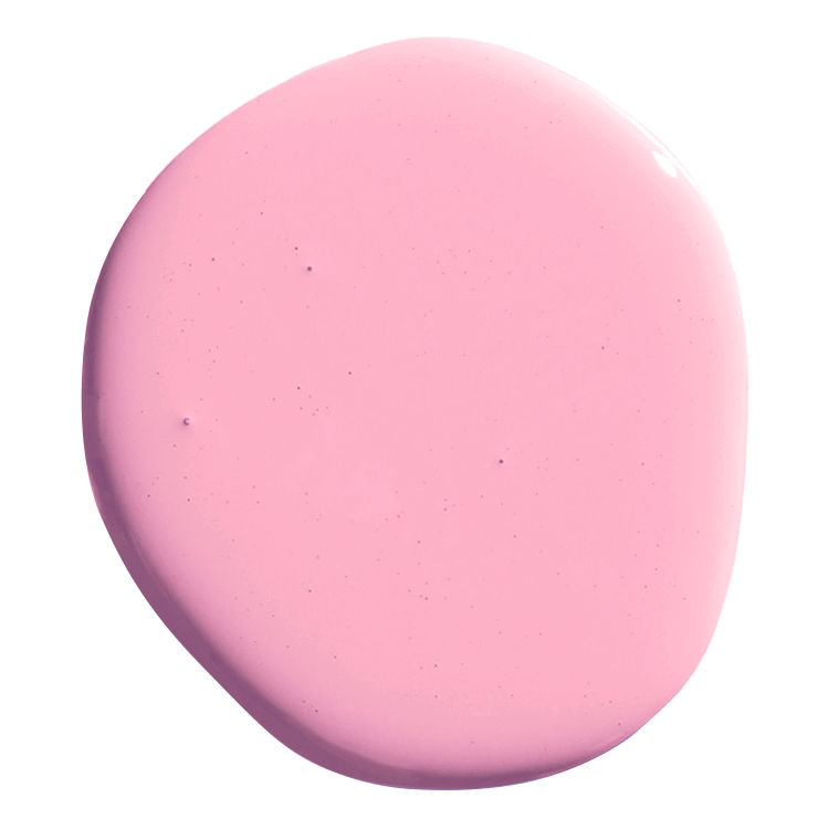 BARBIE™ DREAMHOUSE™ PINK