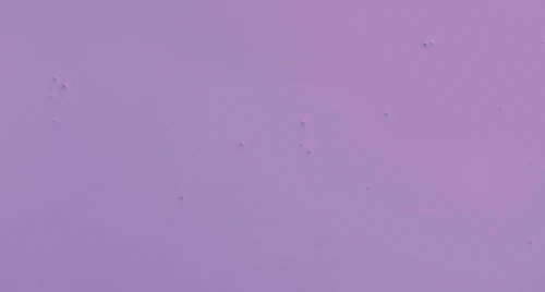 BARBIE™ DREAMHOUSE™ PURPLE