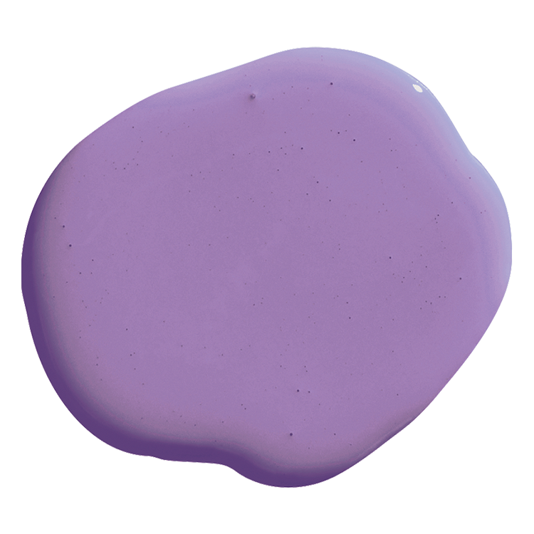 BARBIE™ DREAMHOUSE™ PURPLE